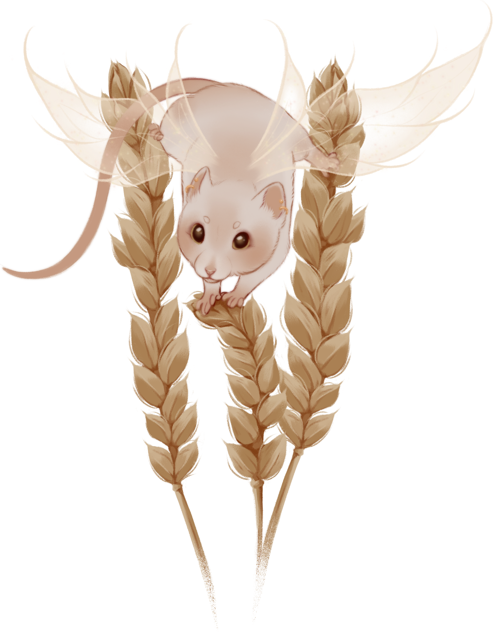 IMG-3710.png