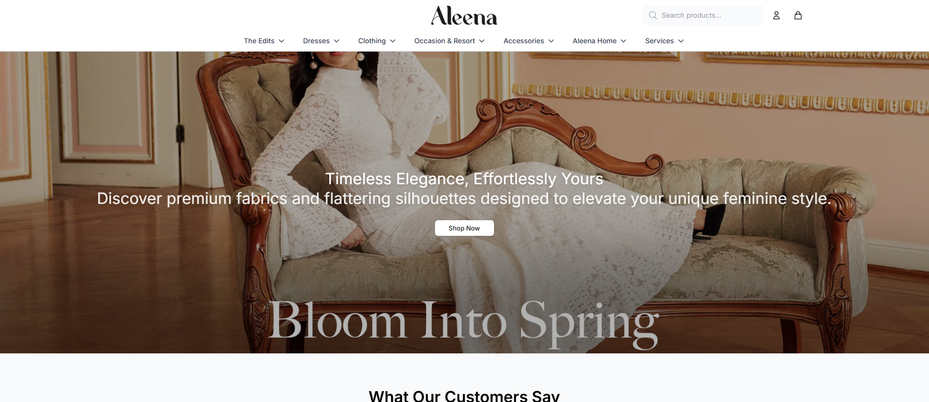 Stored capture of aleenastore.shop