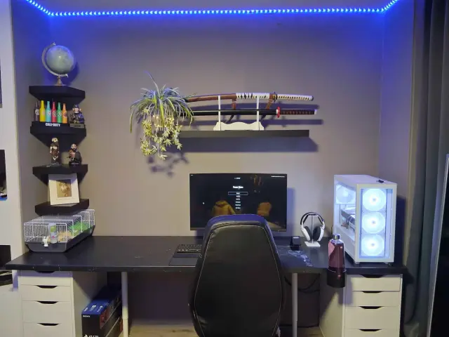HisSetup