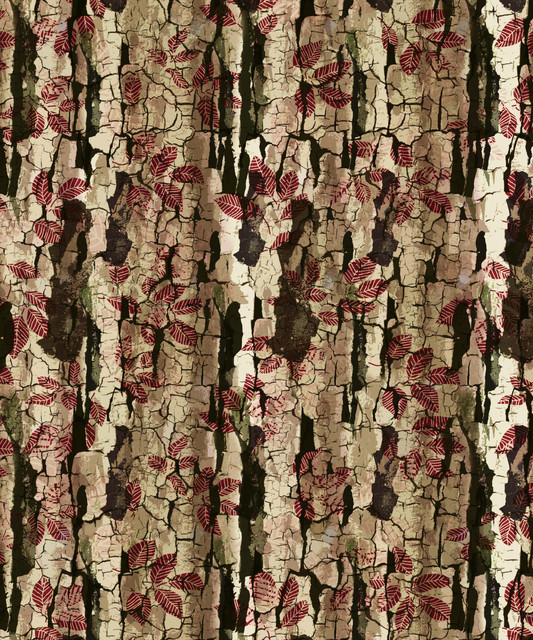 shutterstock 2382531465.jpg