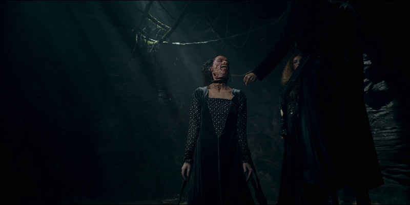 n-STl-Yceb-Yy-Ebf-Hi-1690443225