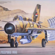 MIG 21 RF Fujimi