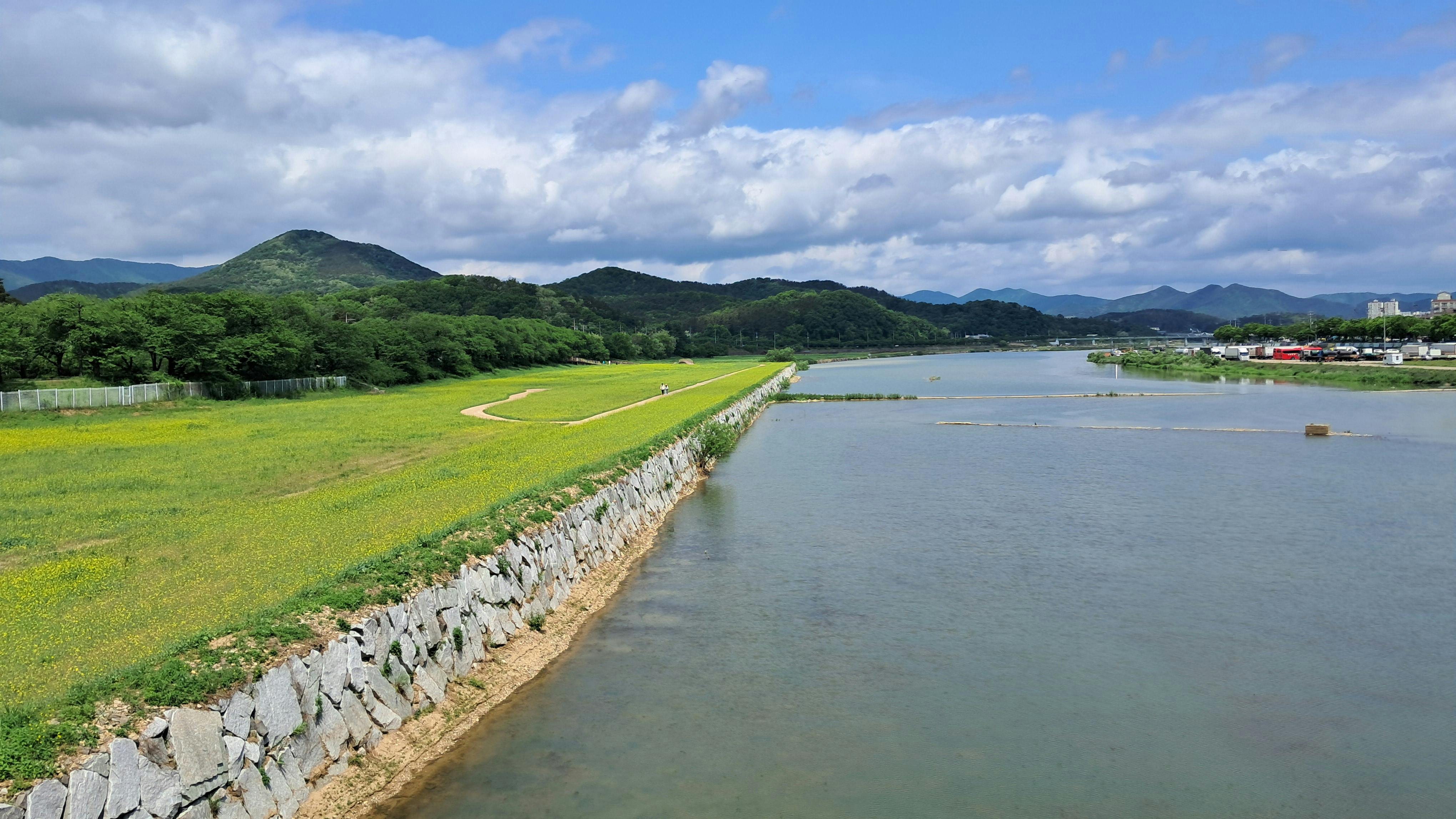 신용경색의 덫에 걸린 중산층: 카드론 돌려막기 역습과 부동산 담보대출로 버티는 생존 시나리오 참고 이미지 2