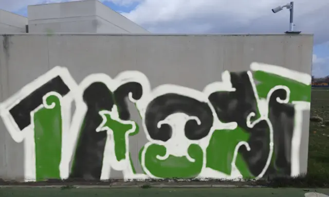Graffiti artwork by taost