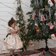 IMG 4382
