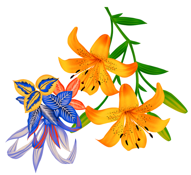 ad8c84b5dd239c5edf8a8ce21db544f5.png