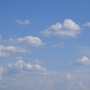 DSC 0766
