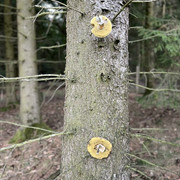 comp-IMG-7325