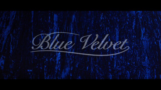 Blue-Velvet-101-T