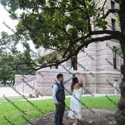 IMG 4211