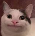 c1