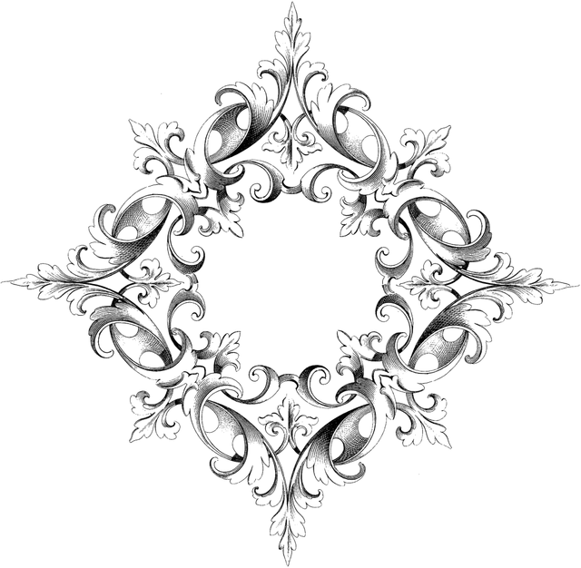 F1 (135)