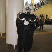 IMG 5645