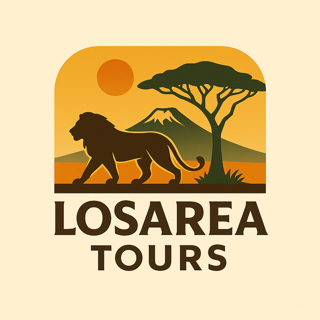 LOSAREA TOURS Logo