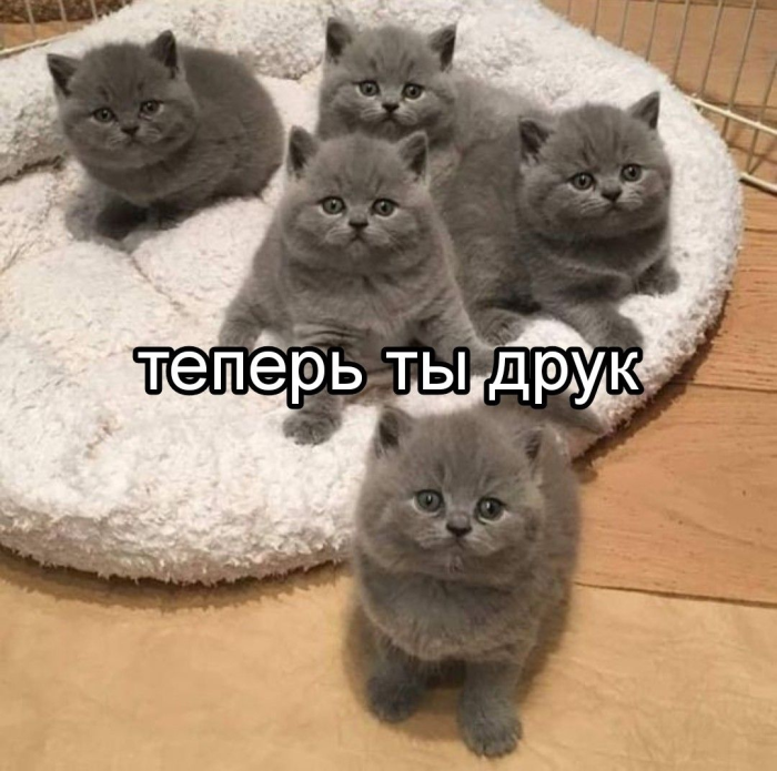 [Изображение: 22f521e44927.png]