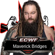 Maverick Bridges