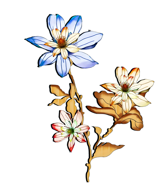 nohat-upscale-x4-da982944-copy.png