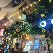 Tokyo Town Cameron6