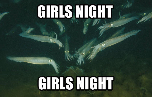 Girls night squids.jpg