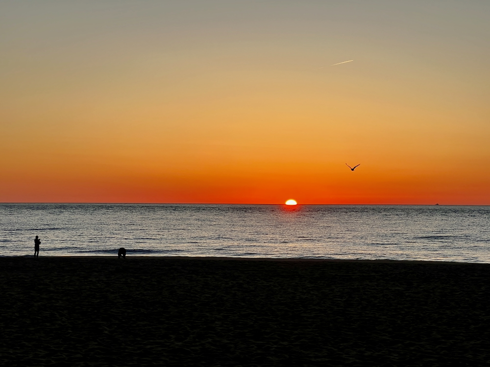 30+ лет в США. Заметки русско-американского пенсионера.