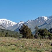 DSC00452 (2)