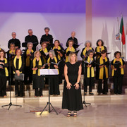 IMG 0476