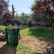 Motta Backyard (31)