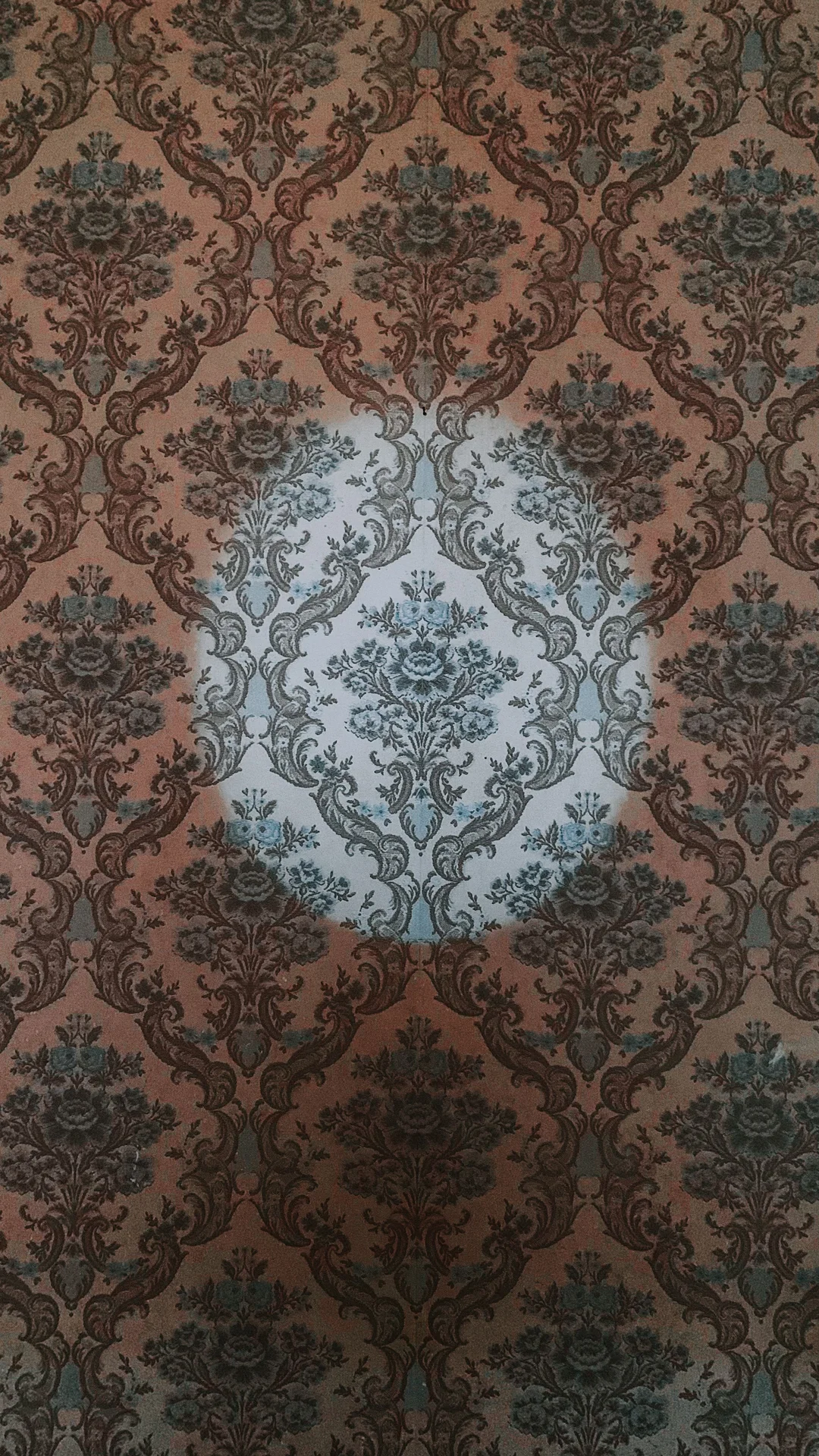 High quality Wallpaper Vintage wallpaper by Diana ✨ from Pexels