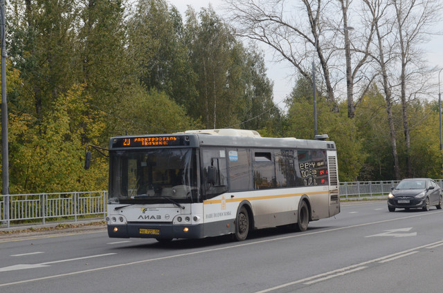 AAA 4573.jpg