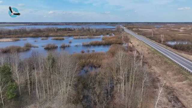 bel1