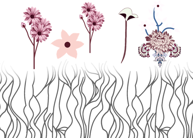 17de2ceac17f9da17efe40b337752452.png