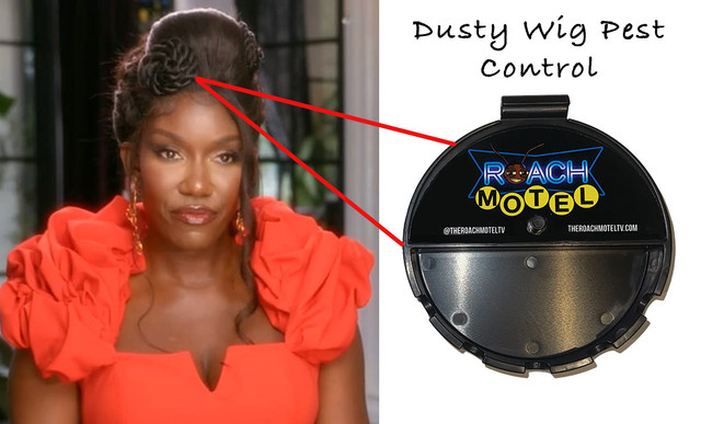Dusty-Wig-Pest-Control