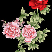 shutterstock 1848451360