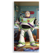 31001682-Toy-Story