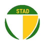 Stad Selmanin