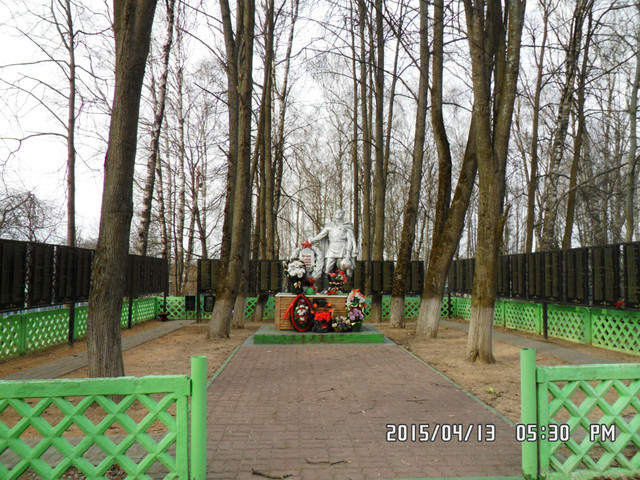 https://i.ibb.co/wFmX7Bhc/image.jpg