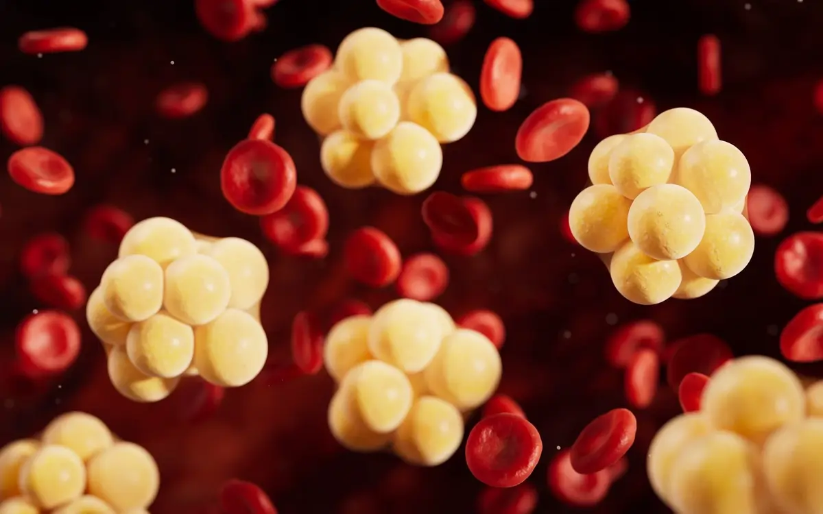 Elite Athletes with Higher Vitamin D Show Healthier Lipid Profiles