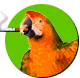 nosmoking