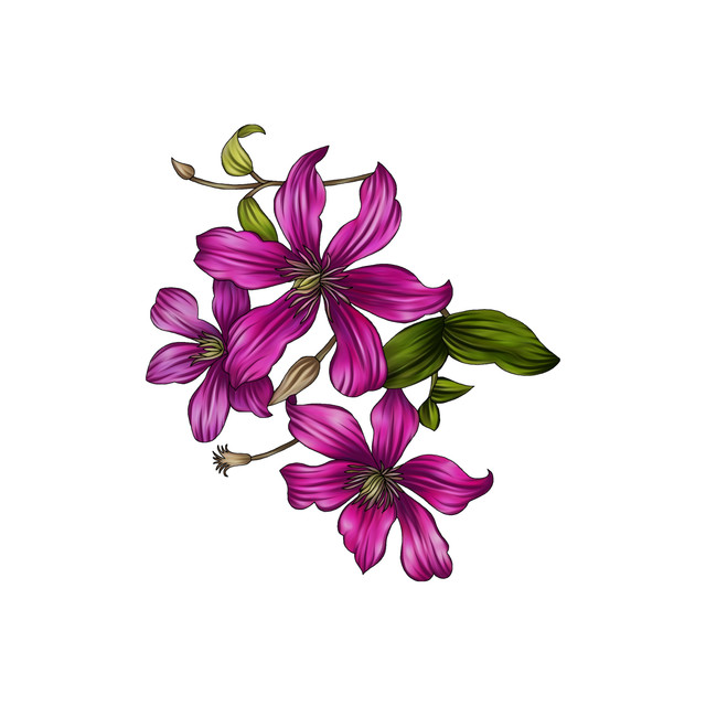 shutterstock 2067620294.jpg