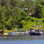 DSC8986