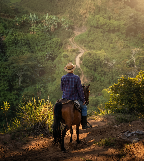 Horseback Riding
