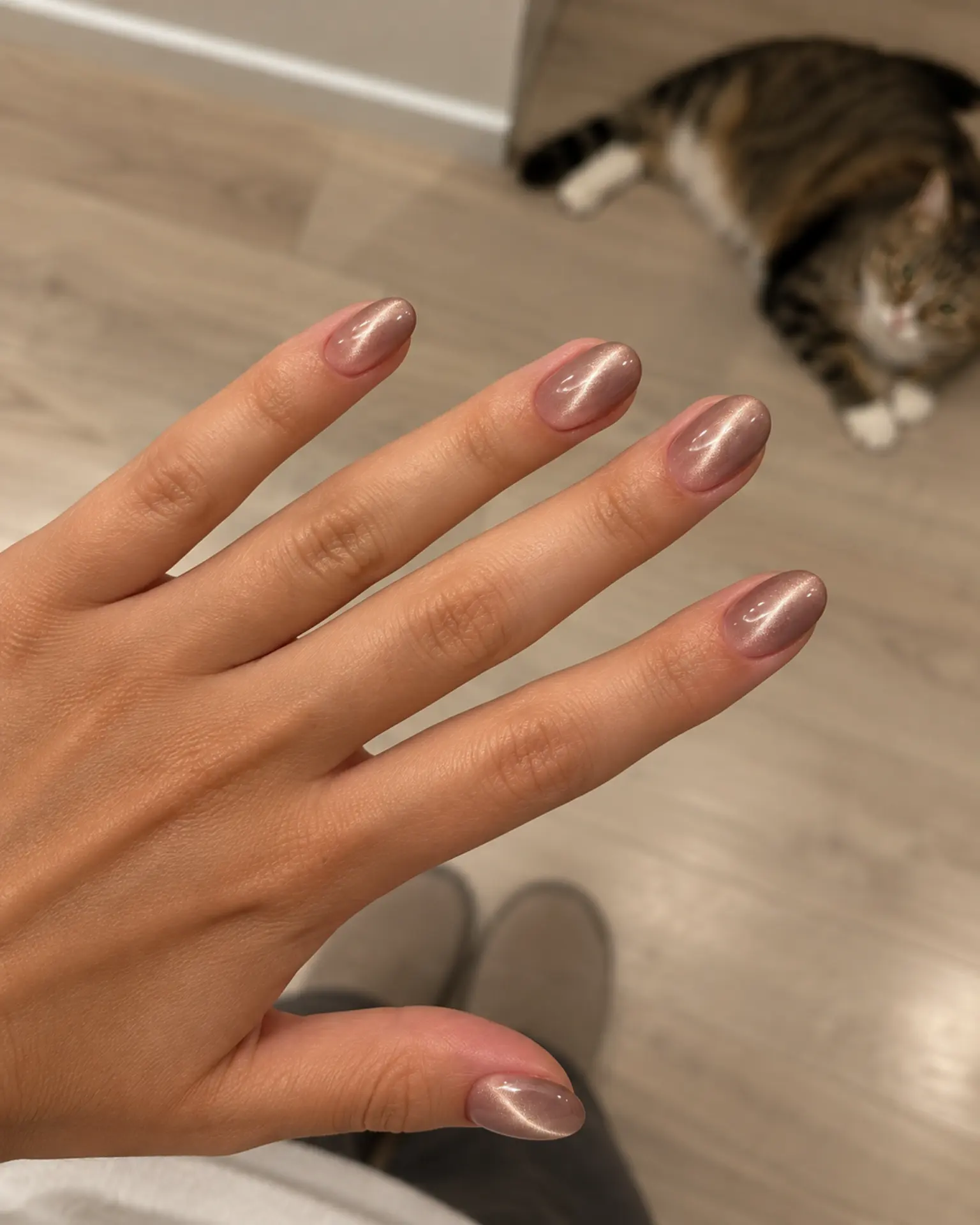 Round Velvet Cat-Eye manicure inspiration for round nail ideas