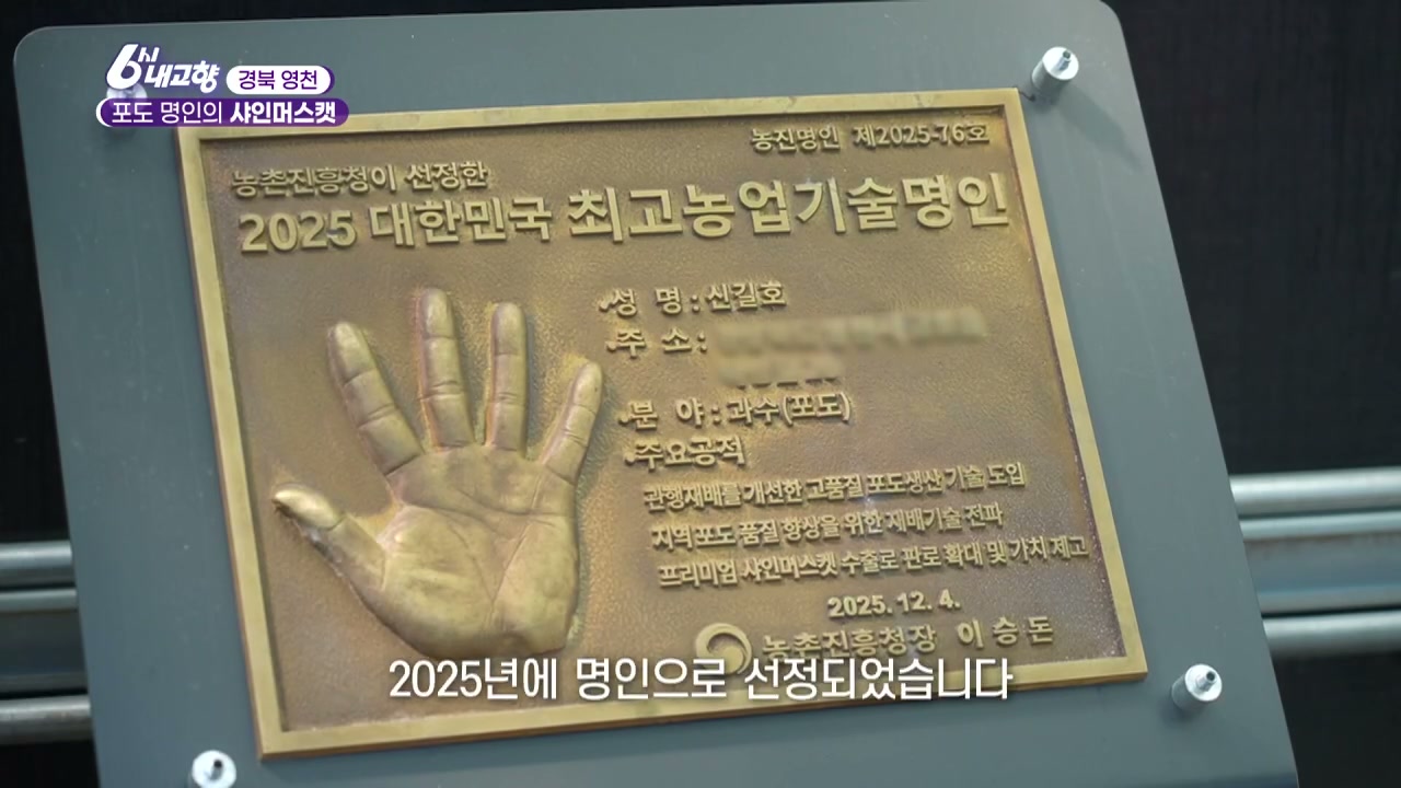 6시내고향 영천 샤인머스캣 추가 캡처 3