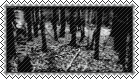S1.gif