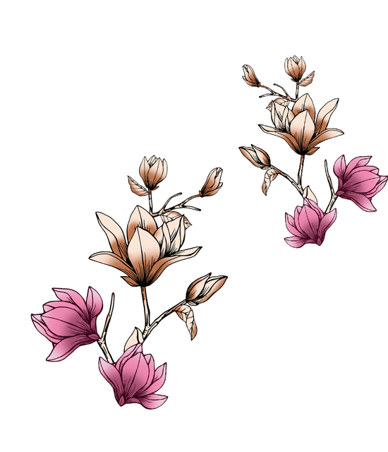 95ea0e3be72b7baeb7e41f650c45c079.png