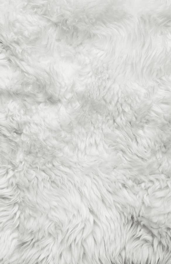 white fur background 26455218.jpg