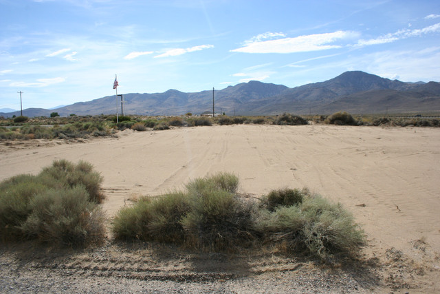 IMG 7943.jpg