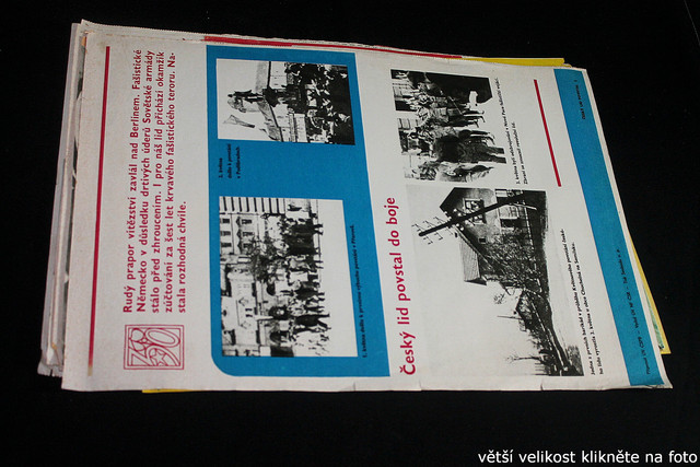 IMG-8638.jpg