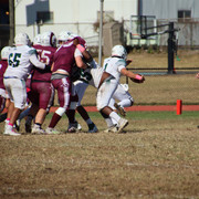 IMG-3134