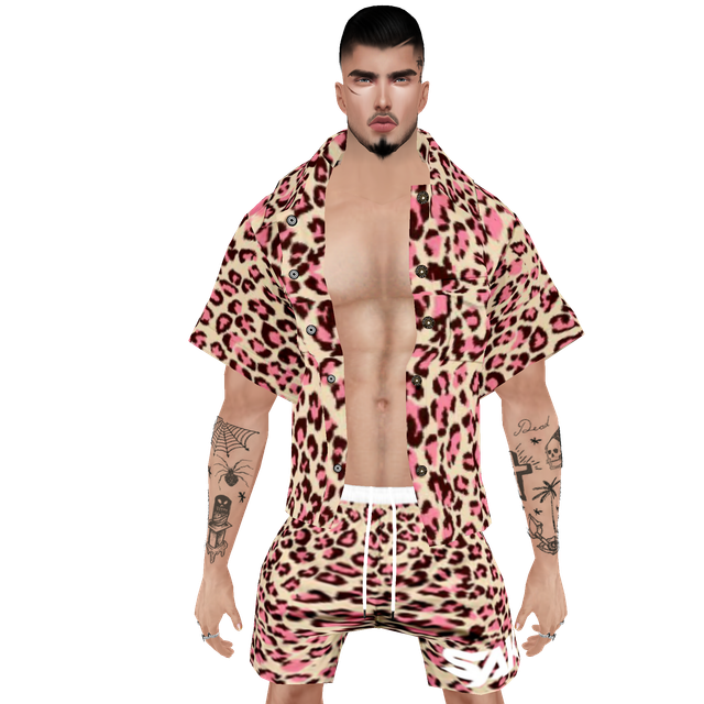 hi-Res-No-Bg18.png